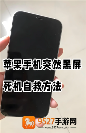 《我功夫特牛看不了广告怎么回事》原因与解决方法汇总